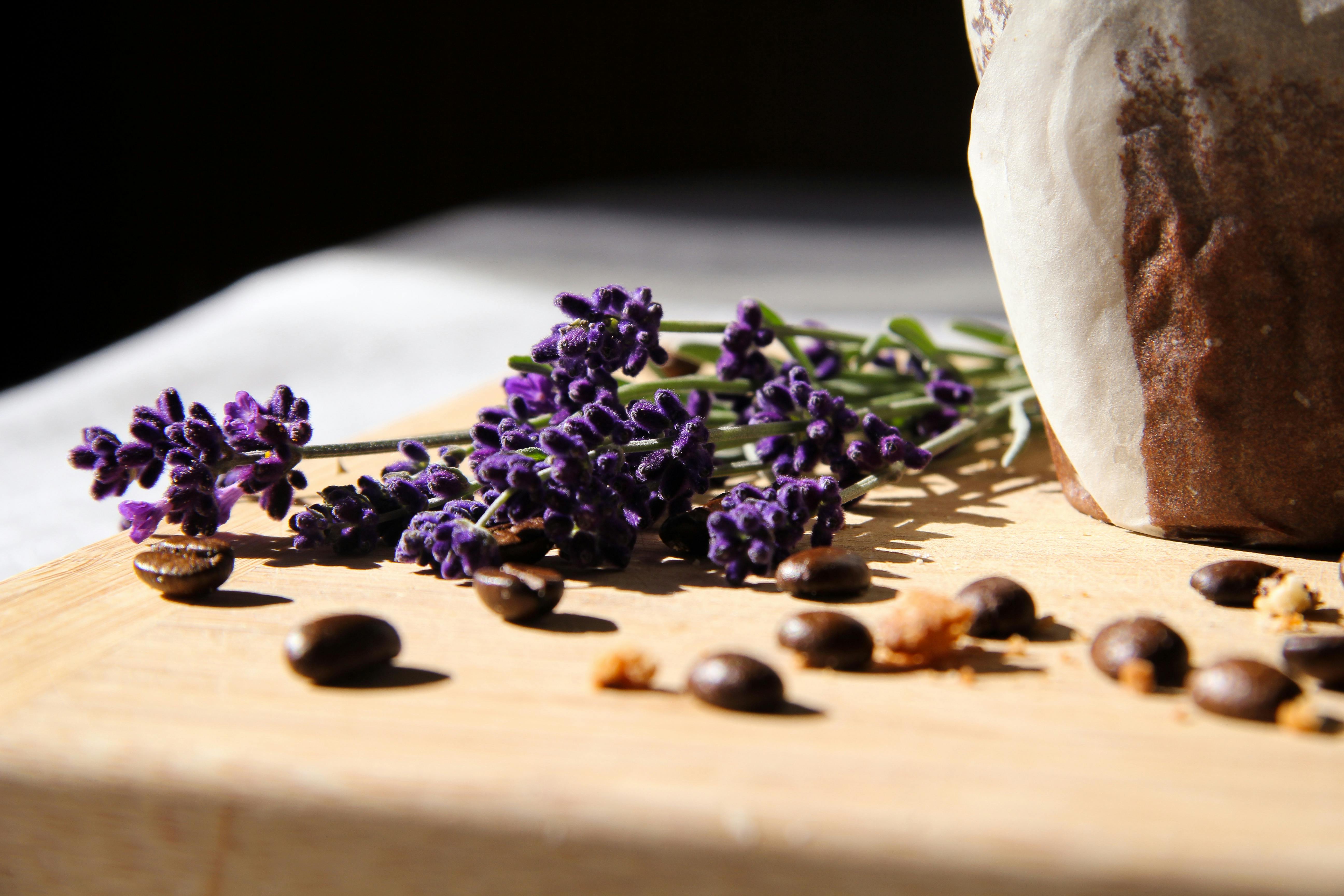 Organic Herbs